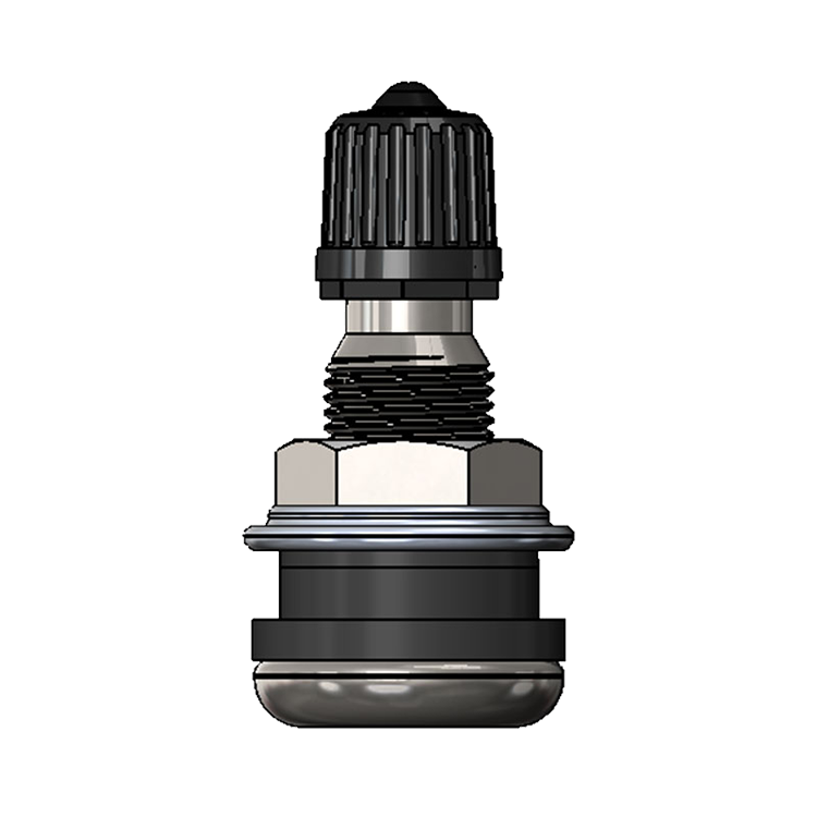 Valvola per tubeless